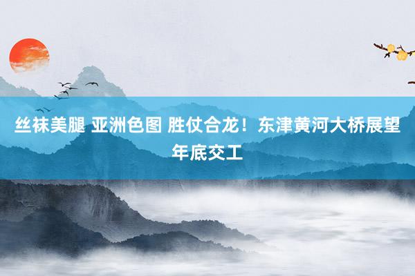 丝袜美腿 亚洲色图 胜仗合龙！东津黄河大桥展望年底交工